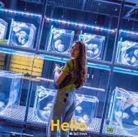 AQUARIA PHUKET 