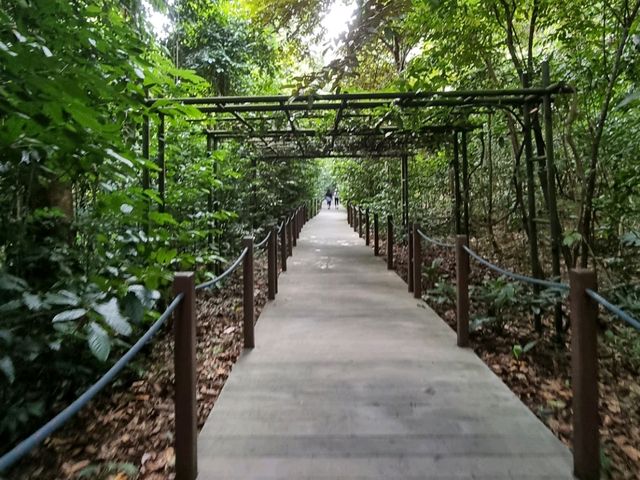 The only UNESCO world heritage site in 🇸🇬