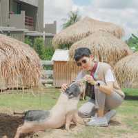 On Ground Pattaya  คาเฟ่ลับในสวน 