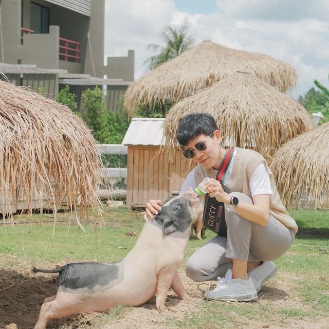 On Ground Pattaya  คาเฟ่ลับในสวน 