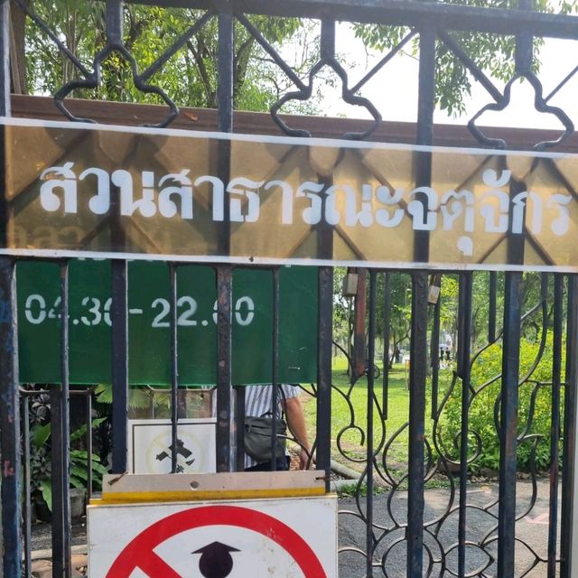 สวนจตุจักร 🌿🌷 