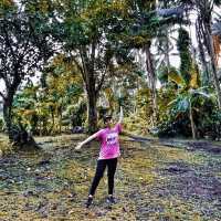 Mayon Black Lava Zipline Adventure