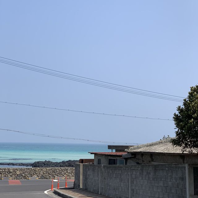 제주 세화해변🌊✨