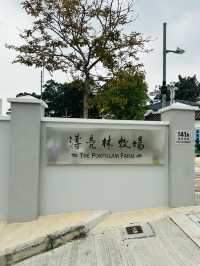 【香港好去處】百年英式古蹟活化。薄鳧林牧場