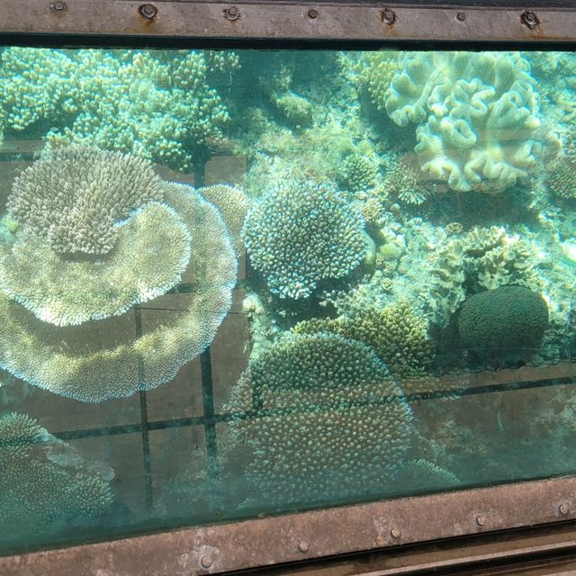 開恩茲大堡礁