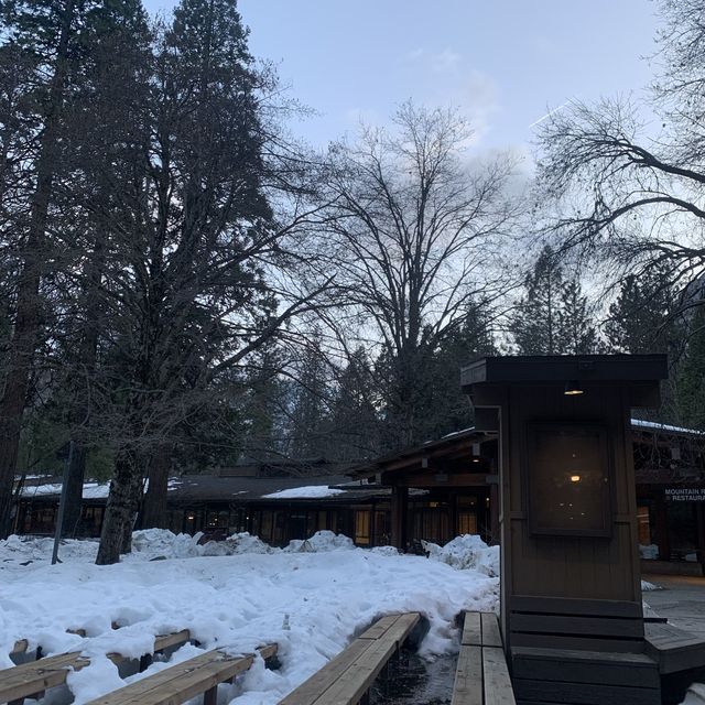 Yosemite Valley Lodge