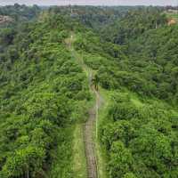 The Campuhan Ridge Walk