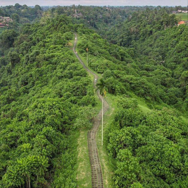 The Campuhan Ridge Walk