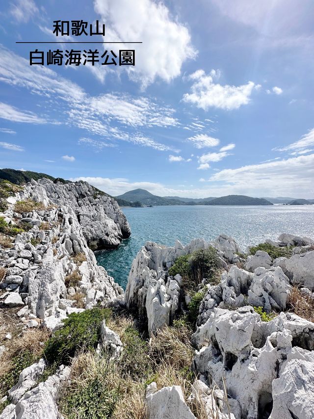 和歌山観光＊風光明媚な白亜の岬と広大な千畳敷