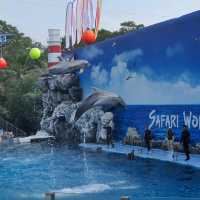 3โซนห้ามพลาด เมื่อมาเที่ยวซาฟารีเวิลด์!