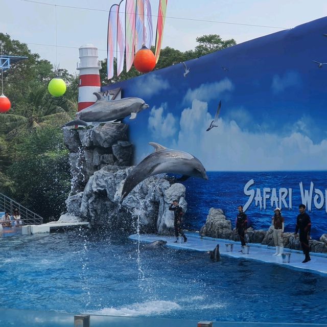 3โซนห้ามพลาด เมื่อมาเที่ยวซาฟารีเวิลด์!