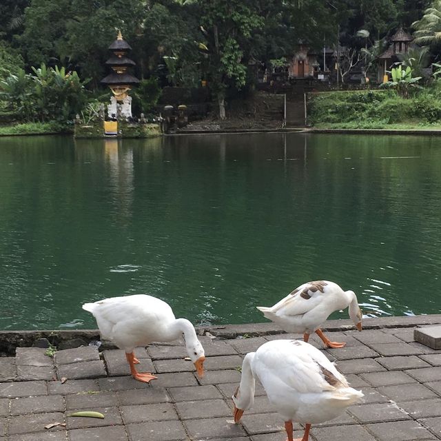Taman Mumbul Sangeh