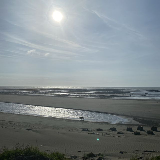 ✨許厝港濕地✨