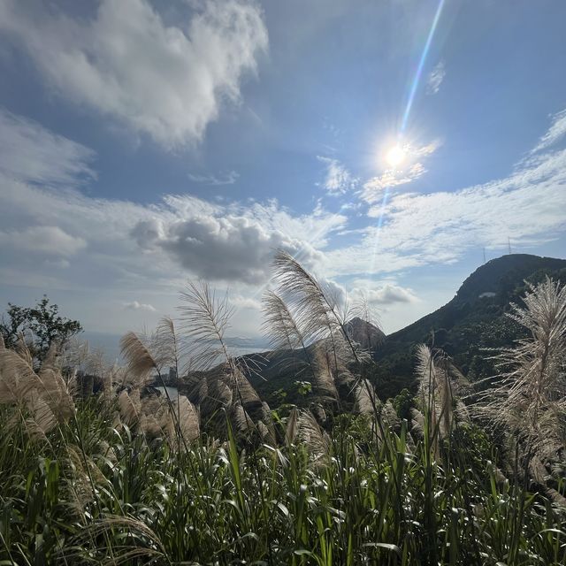 Peak Trail