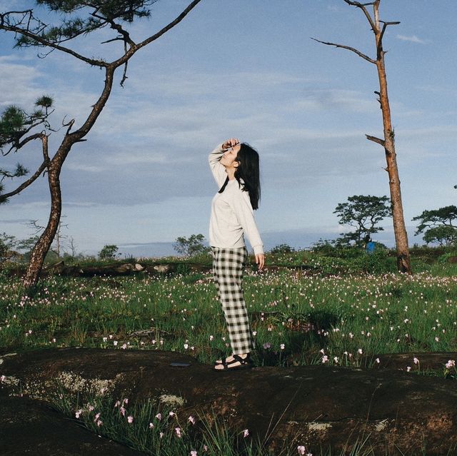 บุกโบลาเวน ลาวใต้ กับทุ่งดอกไม้ที่ตกหลุมรัก