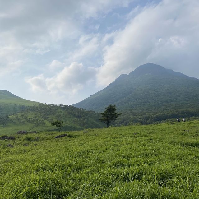 日本🇯🇵｜穿過綠地與森林，登上大分的｢富士山｣ 由布岳 ⛰️
