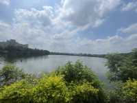 桃園市｜新屋區｜新屋埤環湖步道（桃園大圳12-2號池）