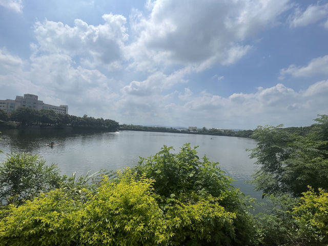 桃園市｜新屋區｜新屋埤環湖步道（桃園大圳12-2號池）