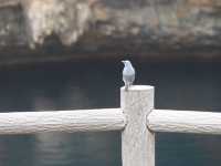 【宮古島】伝説残る通り池‎𓂃 𓈒𓏸