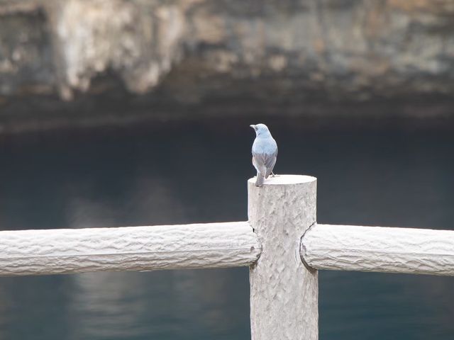 【宮古島】伝説残る通り池‎𓂃 𓈒𓏸