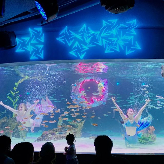 🧜🏻‍♀️觀賞人魚公主的優美姿態 — 63大廈水族館