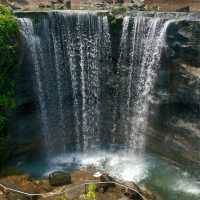 Mandai's Hidden Gem - The Gateway to Paradise