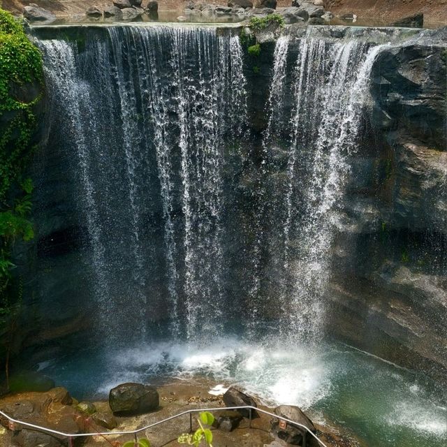 Mandai's Hidden Gem - The Gateway to Paradise