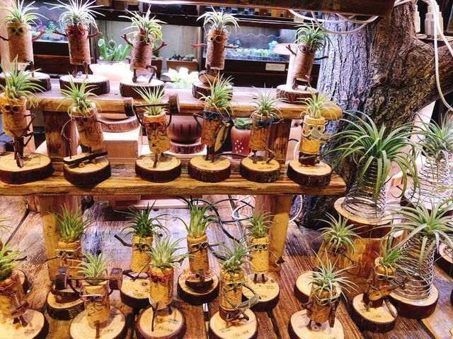 台北｜🎪🎵🎶 Wooderful life 華山店