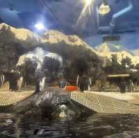 海洋奇蹟解密！屏東國立海洋生物博物館🌊🔬🐚