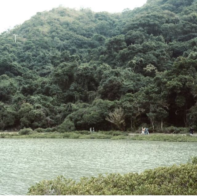 探秘香港"綠野仙蹤〞谷埔/鹿頸