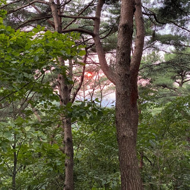대중교통으로도 갈 수 있는 서울 근교 산행