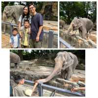 【 近距離觀賞大型野生動物。購票優惠攻略 】  