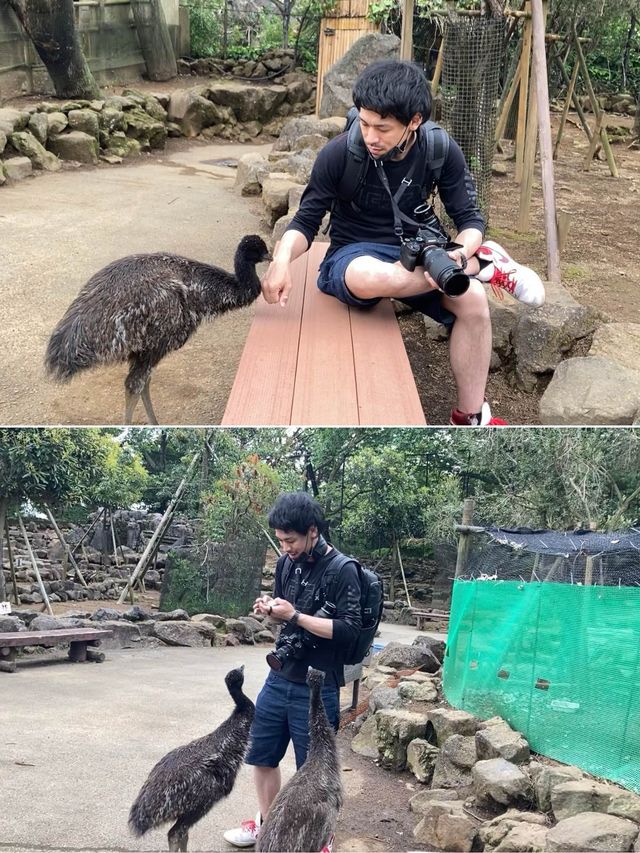 【伊豆】日帰りでも行けちゃう！動物といっぱい触れ合えちゃう動物園🐱🤍