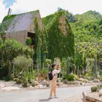 CHAN nature cafe' คาเฟ่ที่ถูกโอบล้อมไปด้วยแคตตัส