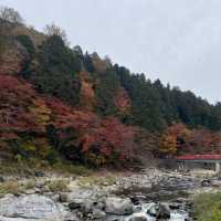 愛知縣最美香嵐溪