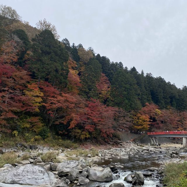 愛知縣最美香嵐溪