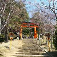 朝聖富士山第一景 淺間公園(part1)