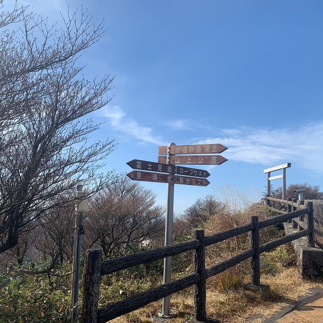 楓葉滿山的美景