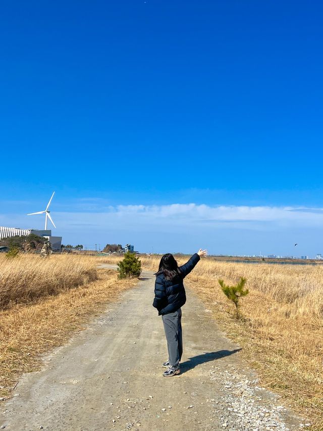 서울근교 드라이브코스로 제격인 대부도