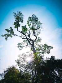อุทยานแห่งชาติน้ำตกโยง อ.ทุ่งสง จ.นครศรีธรรมราช 