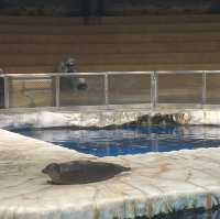 海洋公園：北極之旅