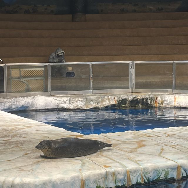 海洋公園：北極之旅