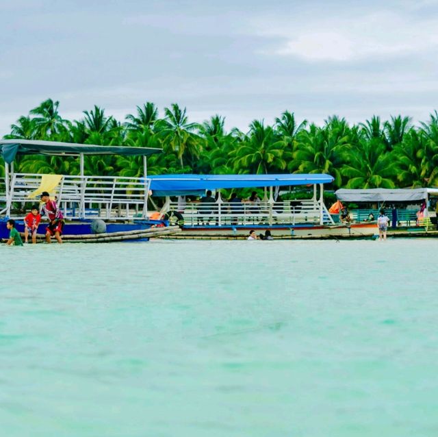 ☀️ Fun in the Sun at Poo Sandbar