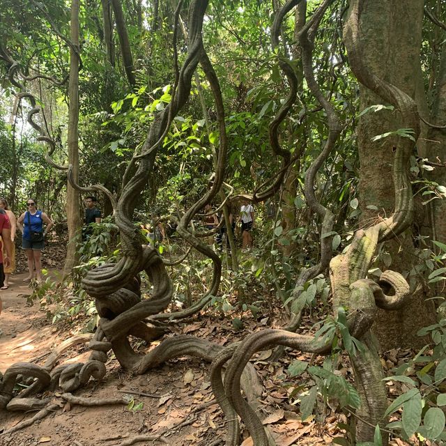 Cu Chi Tunnels tour in Vietnam 🇻🇳 