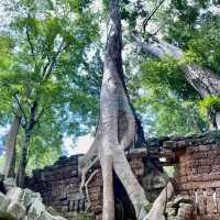 Why should we visit Ta Prohm?