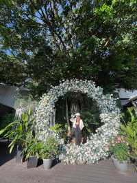 香港打卡🍀元朗錦田打卡花園cafe