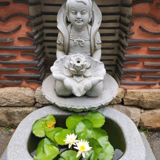 신록에계절 계룡산 동학사에 포행이다.