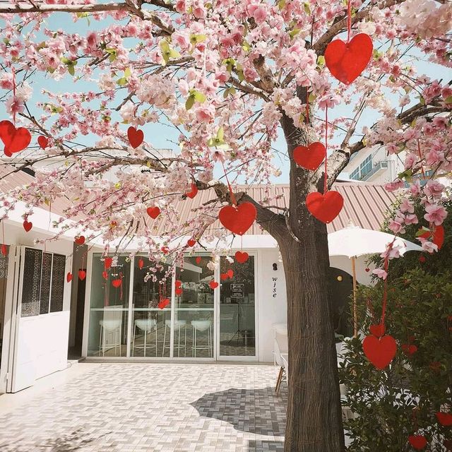  💕 WISE CAFE 💕