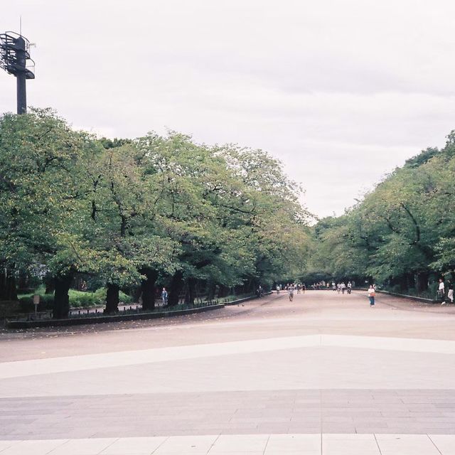 Ueno park , Tokyo