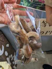 【北海道しいたけ直売所】清田しいたけファーム